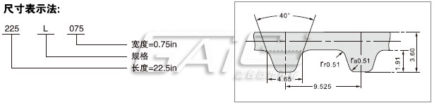 L梯形齿同步带系列