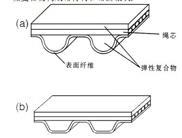 传动带(同步带、多楔带)的性能与失效 传动带(同步带、多楔带)的性能与失效